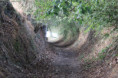 /album/rando-nocturne-16-09-26/randonnee-nocturne-6-jpg/